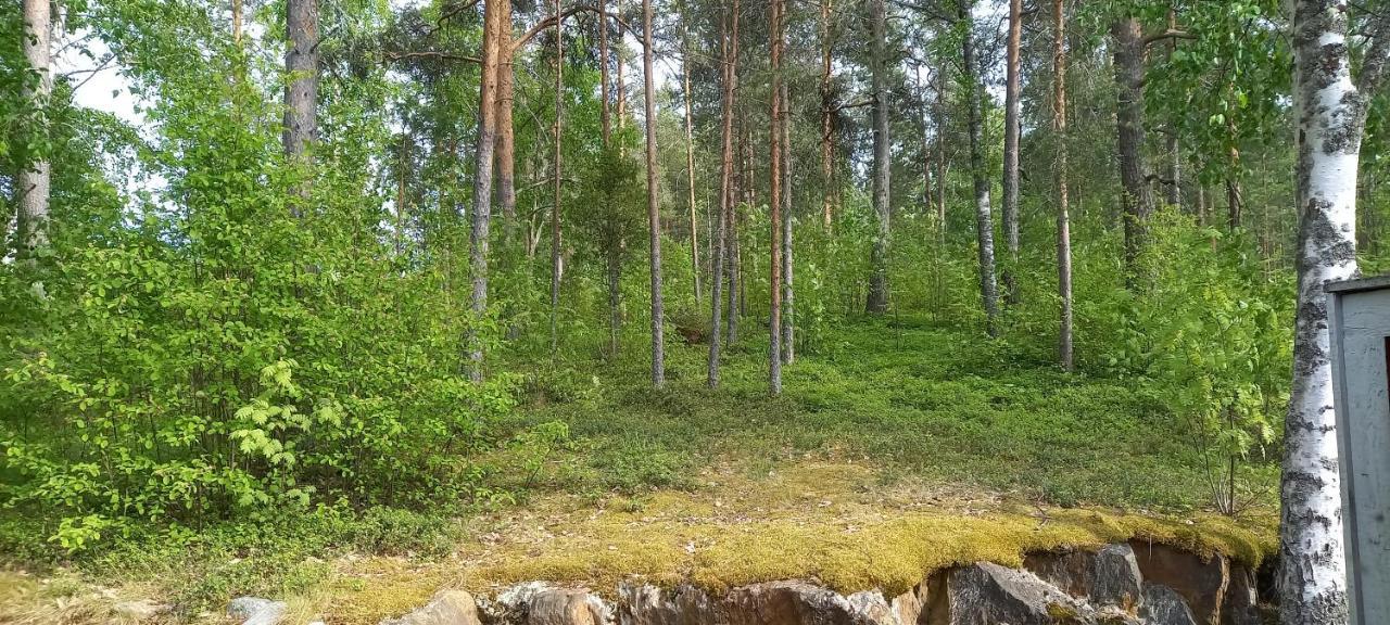 Ferienwohnung Saimaan Kodikas Savonlinna Exterior foto